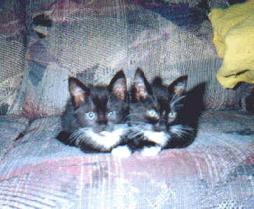 Sisters