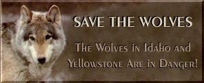Save the wolves